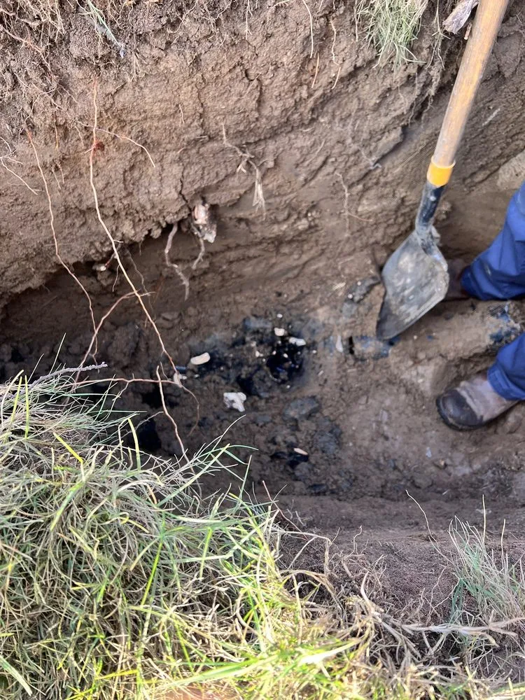 Slide of Kangarooter