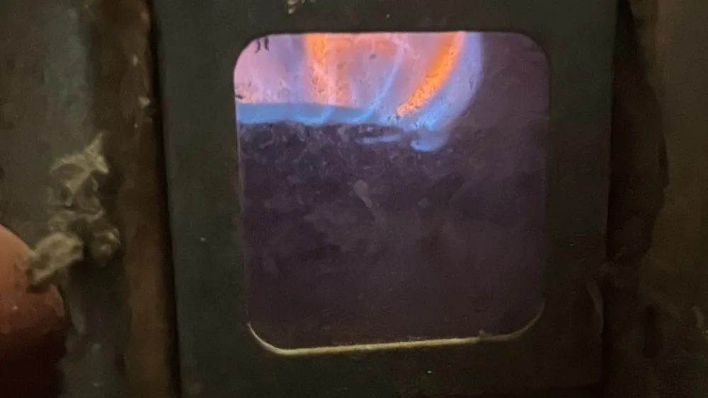 Slide of Katzenstein