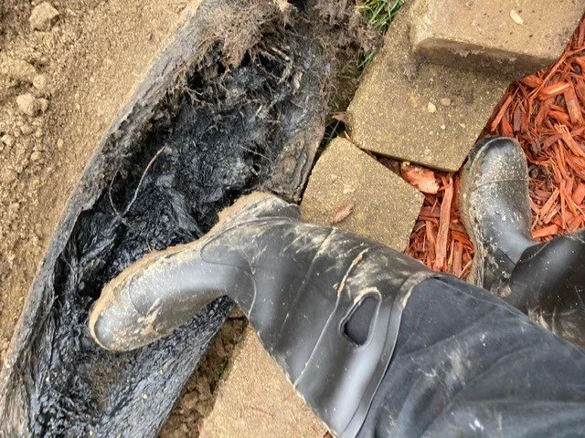 Slide of Kauer & Son