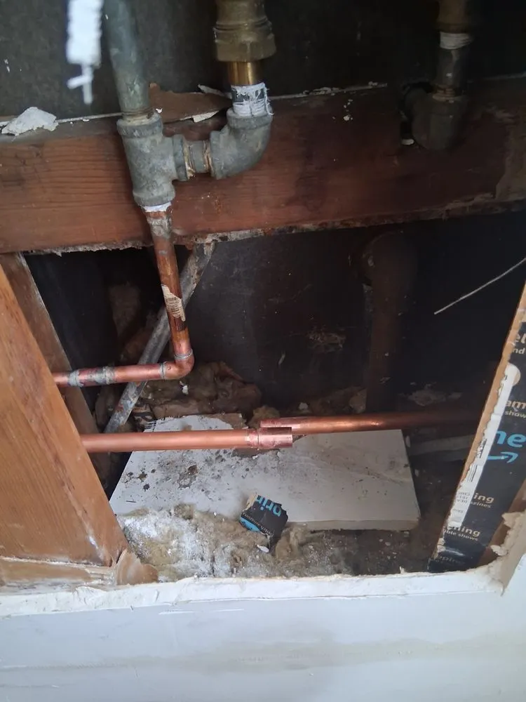 Slide of Kay The Plumber