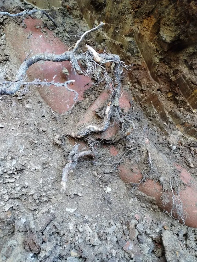 Slide of Kc Drain Pros