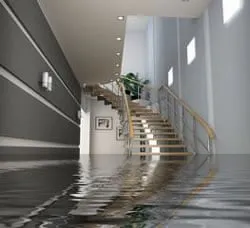 Slide of Kc Water Damage