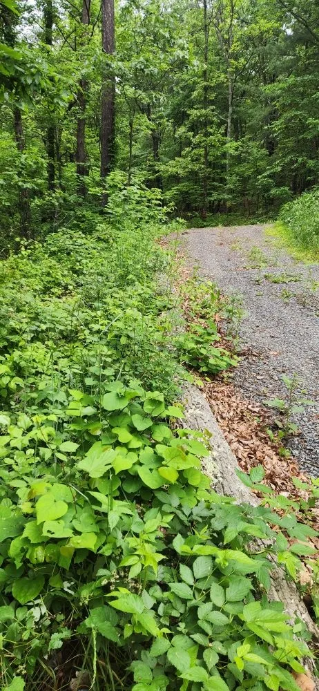 Professional water heater service experts serving Berkeley Springs, WV - K&D Home & Property Services