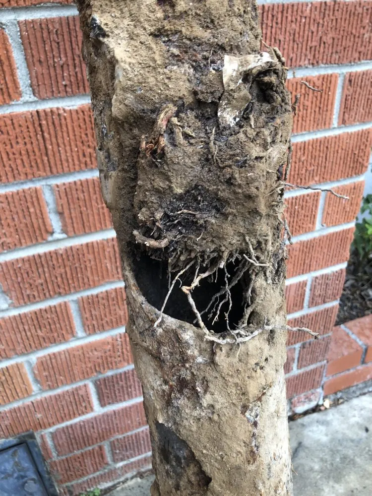 Slide of Kecko Plumbers