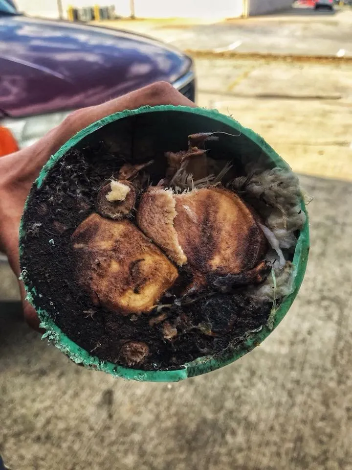 Expert drain cleaning service in Sandersville, GA - Keith McDonald Plumbing Sewer & Septic