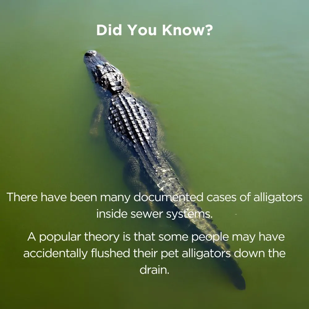 Slide of Kellems Plumbing