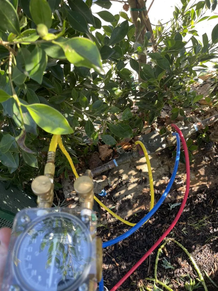 Slide of Kellum Backflow