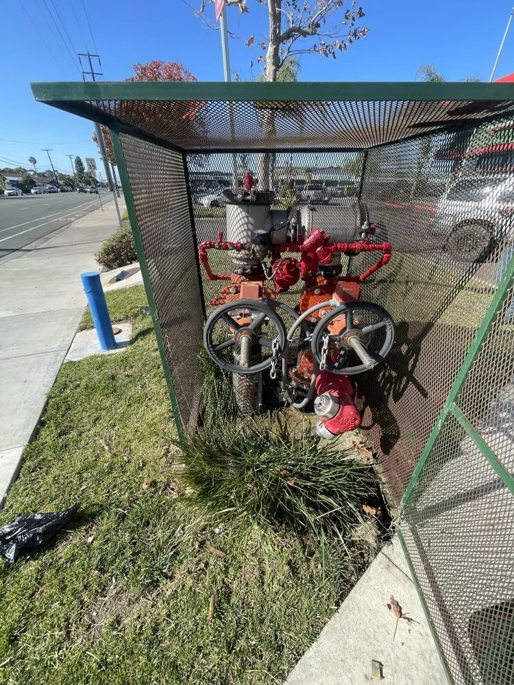 Slide of Kellum Backflow