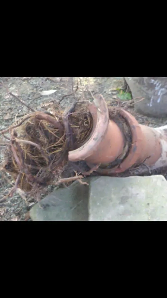 Slide of Ken Colgan Plumbing