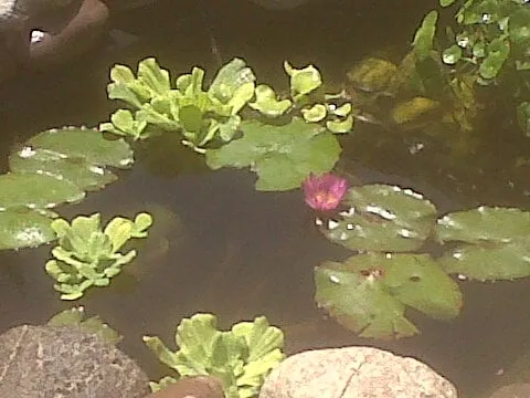 Slide of Kenny Plumbing