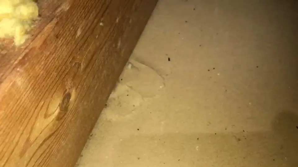 Slide of Ken's Plumbing