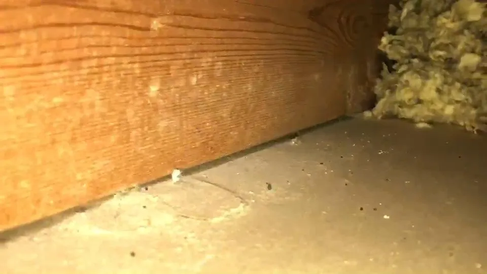 Slide of Ken's Plumbing