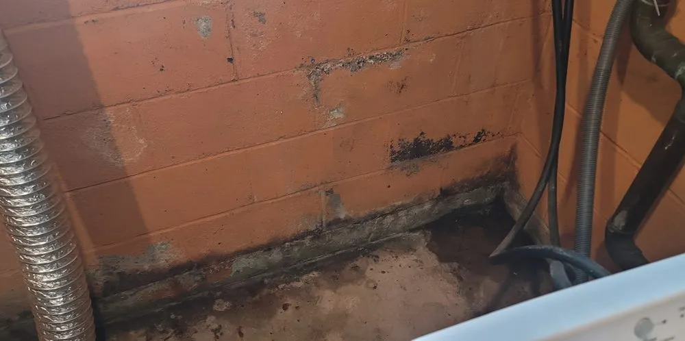 Slide of Kern Painting And Maintenance