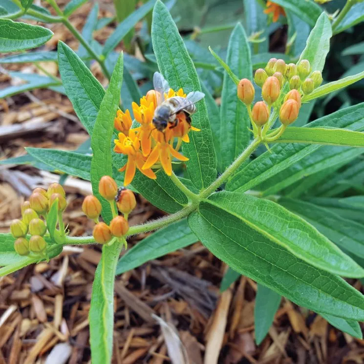 Slide of Kes Equipment & Sales