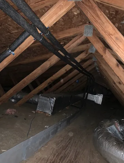 Expert leak detection service in Hampton, FL - Kevin Mobley Plumbing
