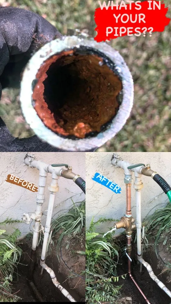 Slide of Kevin's Rooting 4U