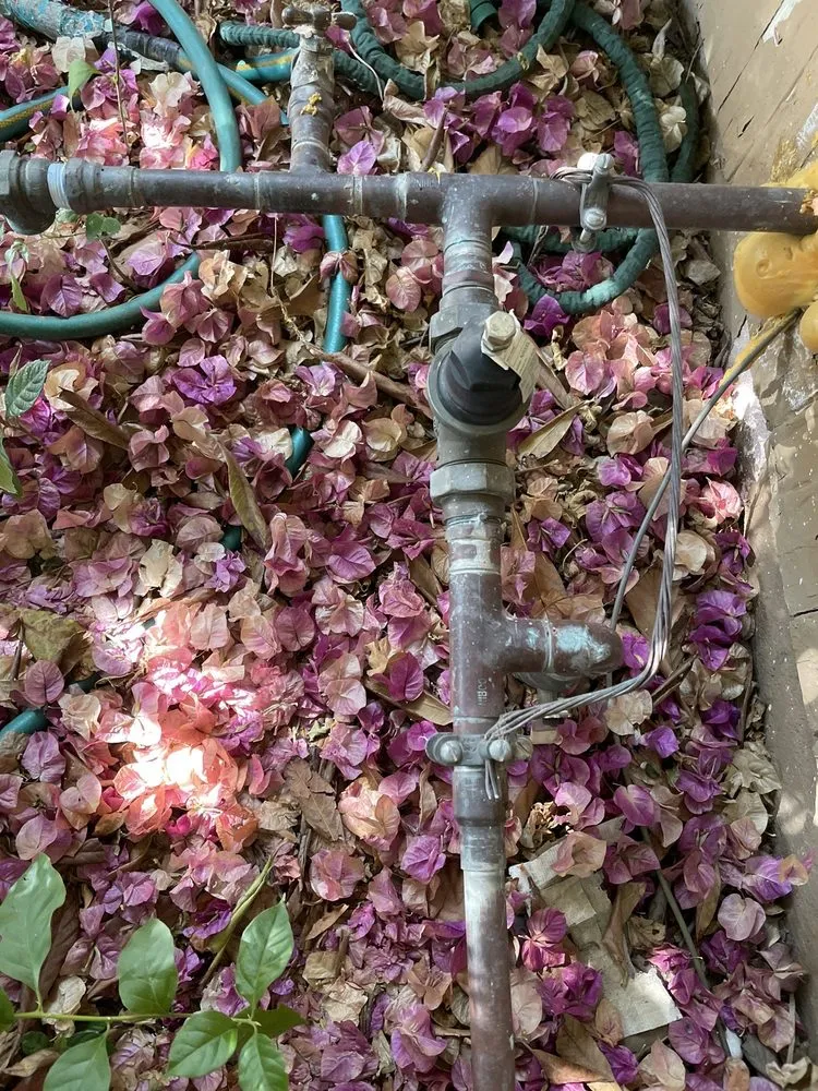 Slide of Keyliam & Sons