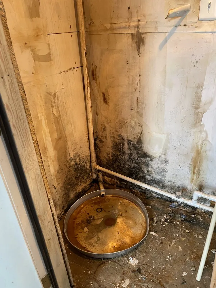Quality drain cleaning in Silver Spring, MD by Khai Plumbing & Drain