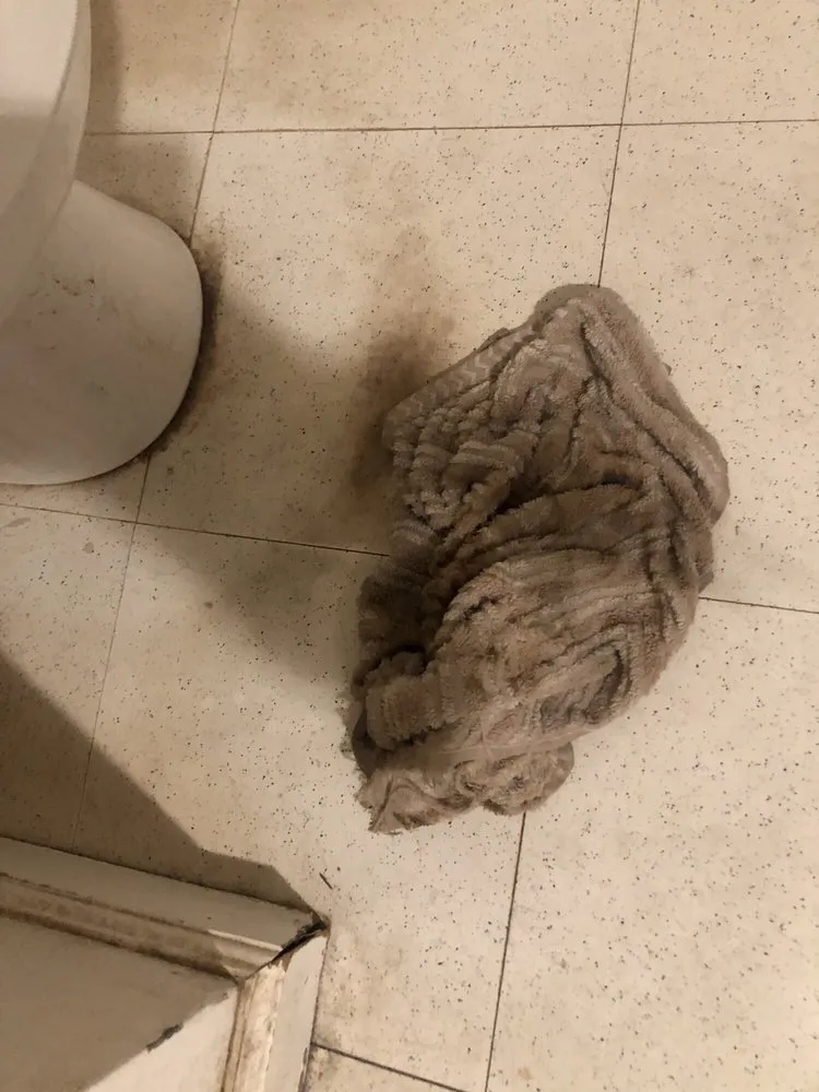 Slide of Kim's Plumbing