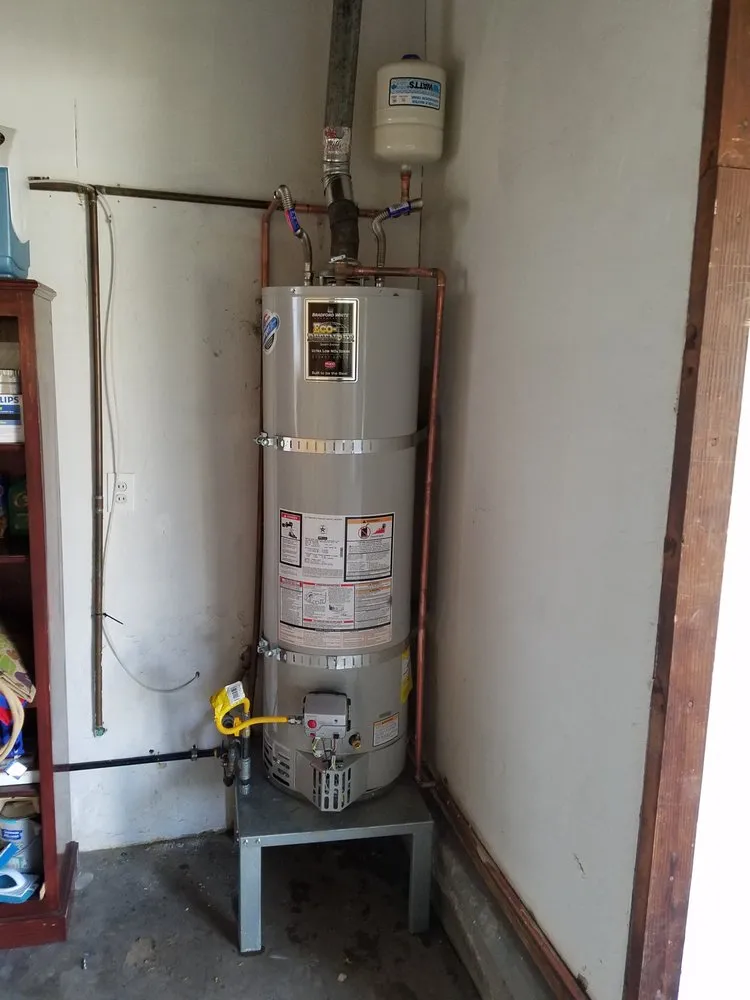 Slide of King David Rooter