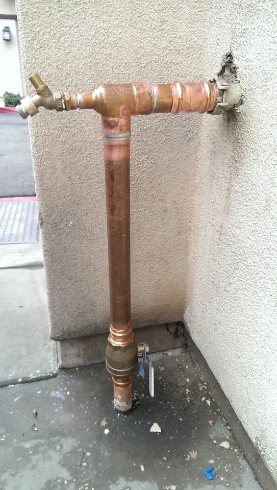 Slide of King David Rooter