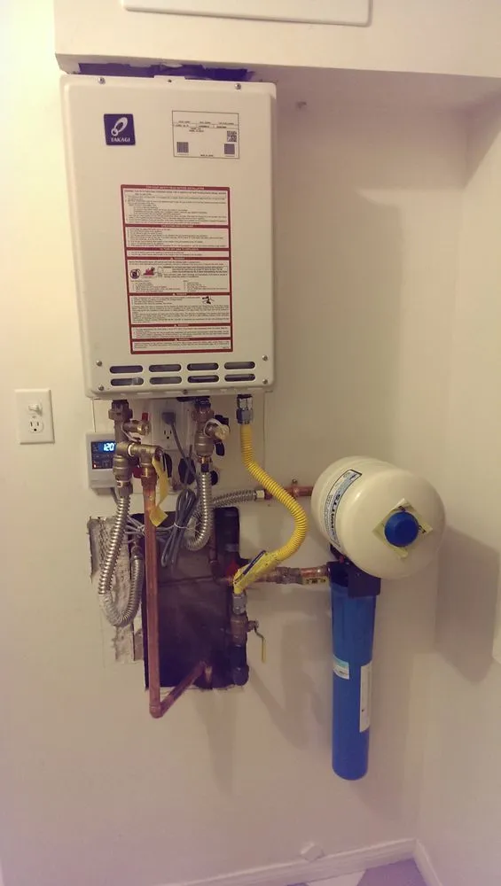 Slide of King David Rooter