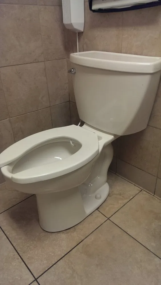 Slide of King David Rooter