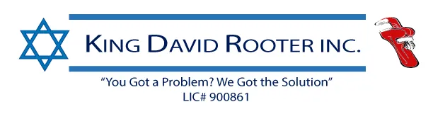 Slide of King David Rooter
