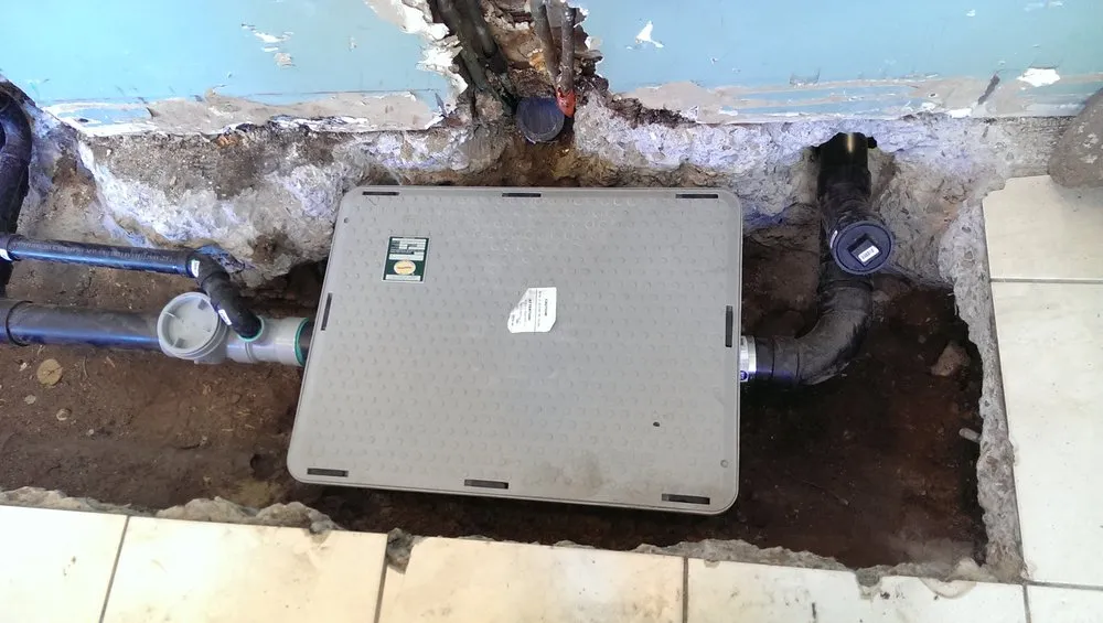 Slide of King David Rooter