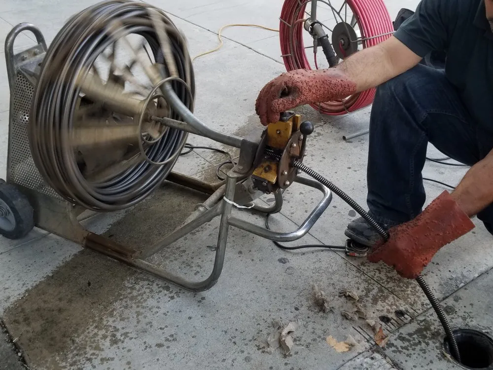 Slide of King David Rooter