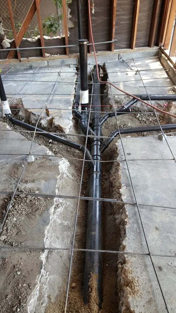 Slide of King David Rooter