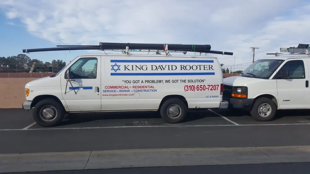 Slide of King David Rooter