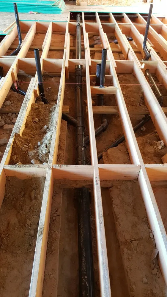 Slide of King David Rooter