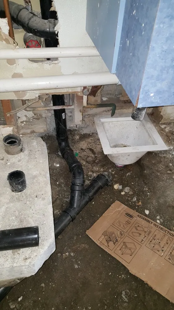 Slide of King David Rooter