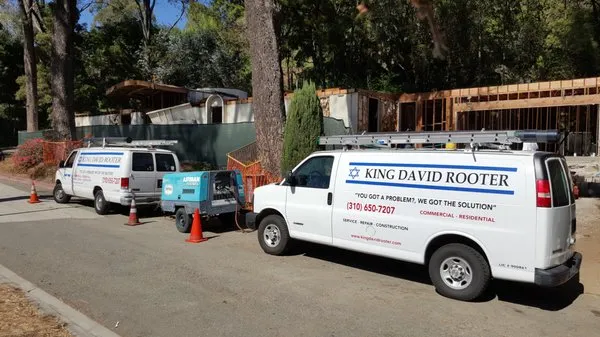 King David Rooter Logo