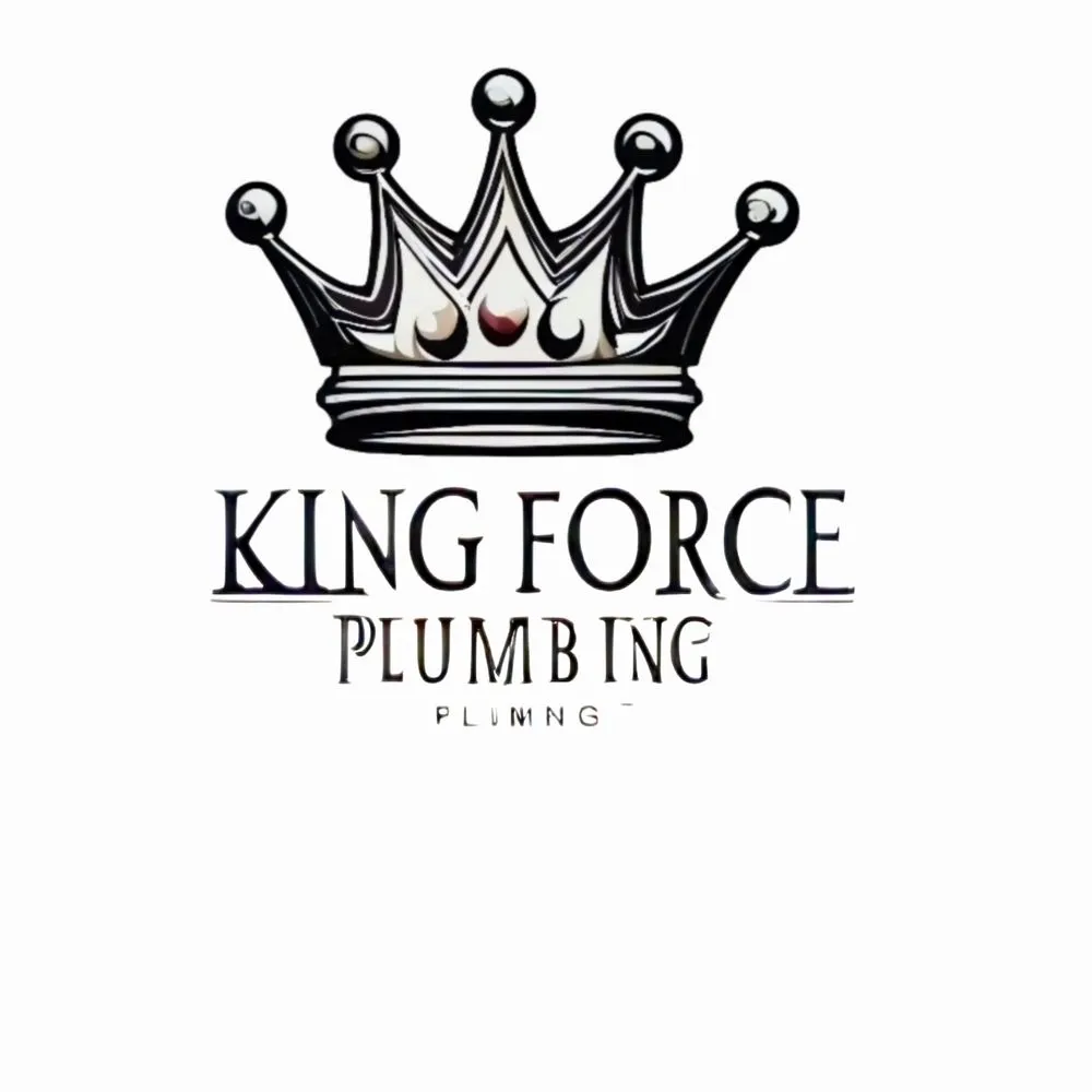 Slide of King Force Plumbing
