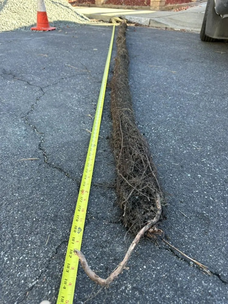 Slide of King Kong Plumbing