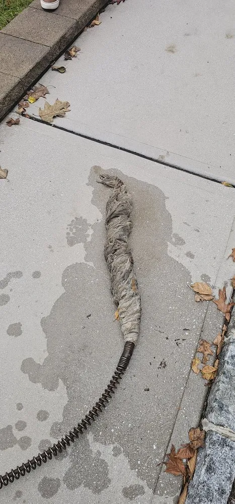 Slide of King of drains and sewers