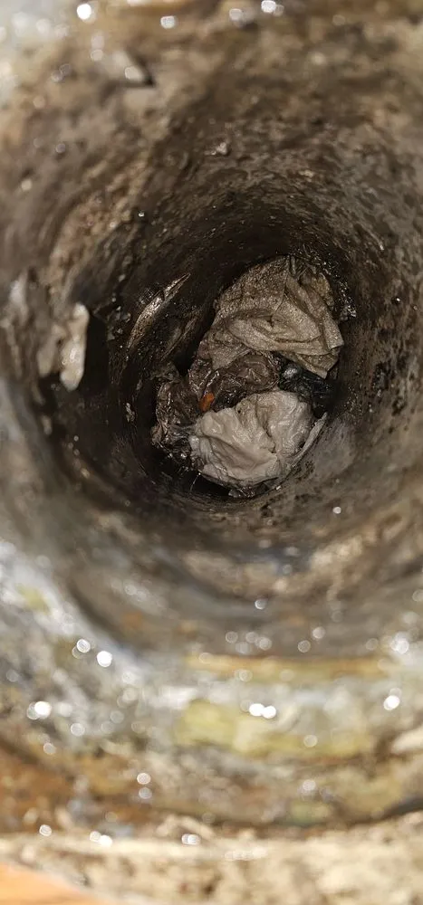 Slide of King of drains and sewers