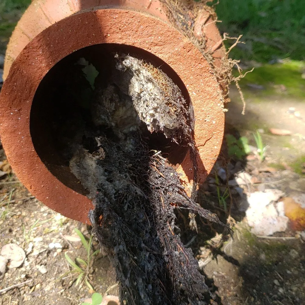 Slide of King Rooter and Hydrojet