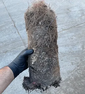 Slide of Kings Plumbing & Rooter