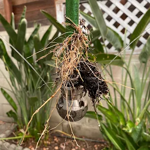 Slide of Kings Plumbing & Rooter