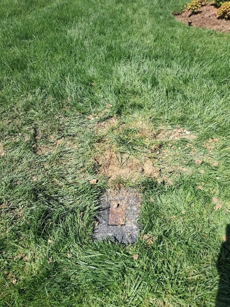 Slide of King's Plumbing