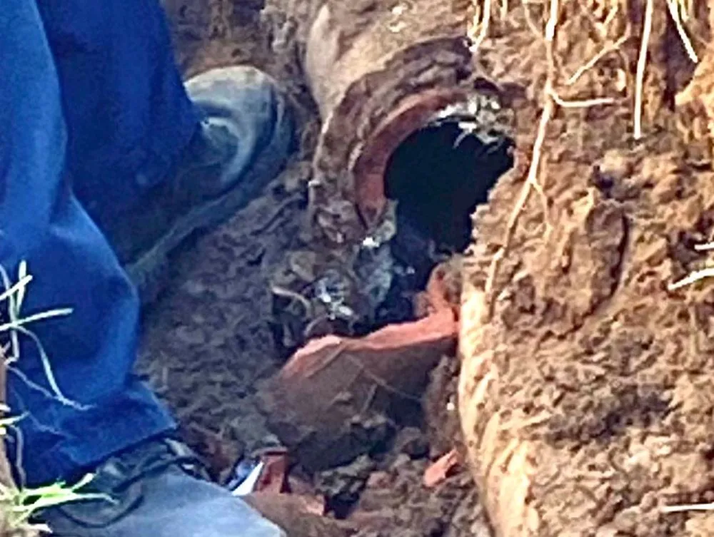 Slide of Kings Plumbing