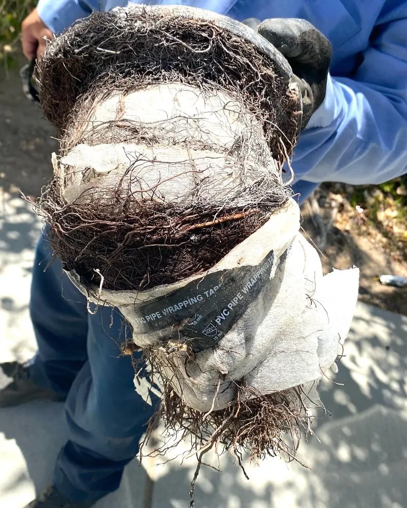 Slide of Kings Plumbing