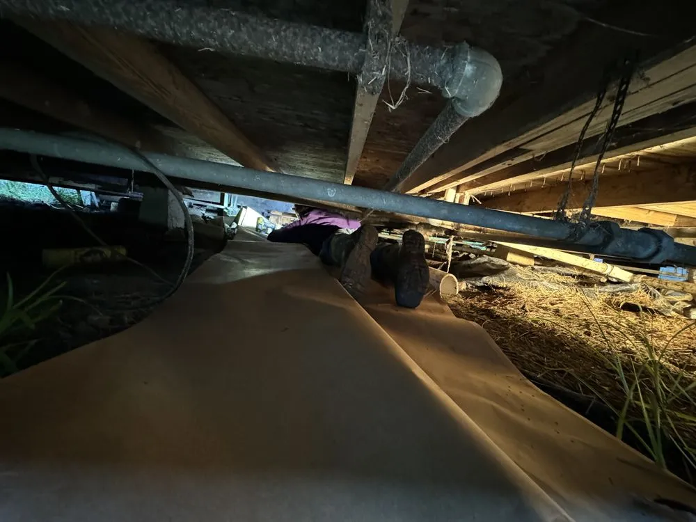 Slide of Kings Plumbing Repairs