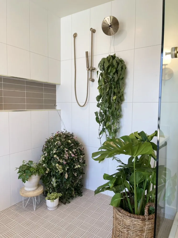 Slide of Kings Plumbing