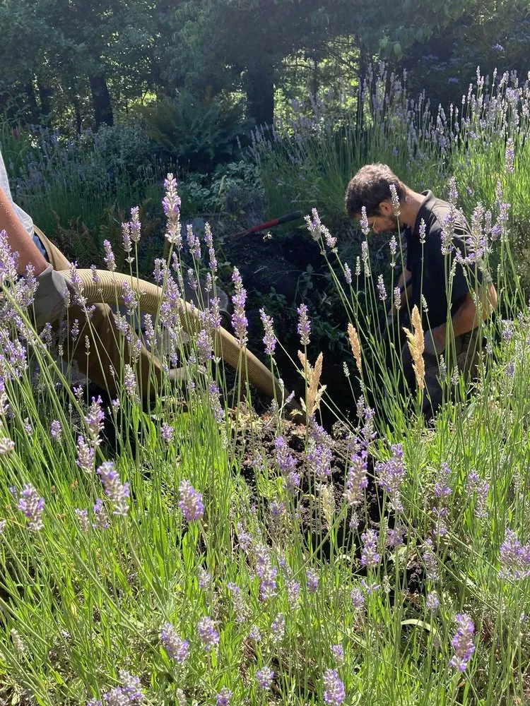 Slide of King's Pumping Service