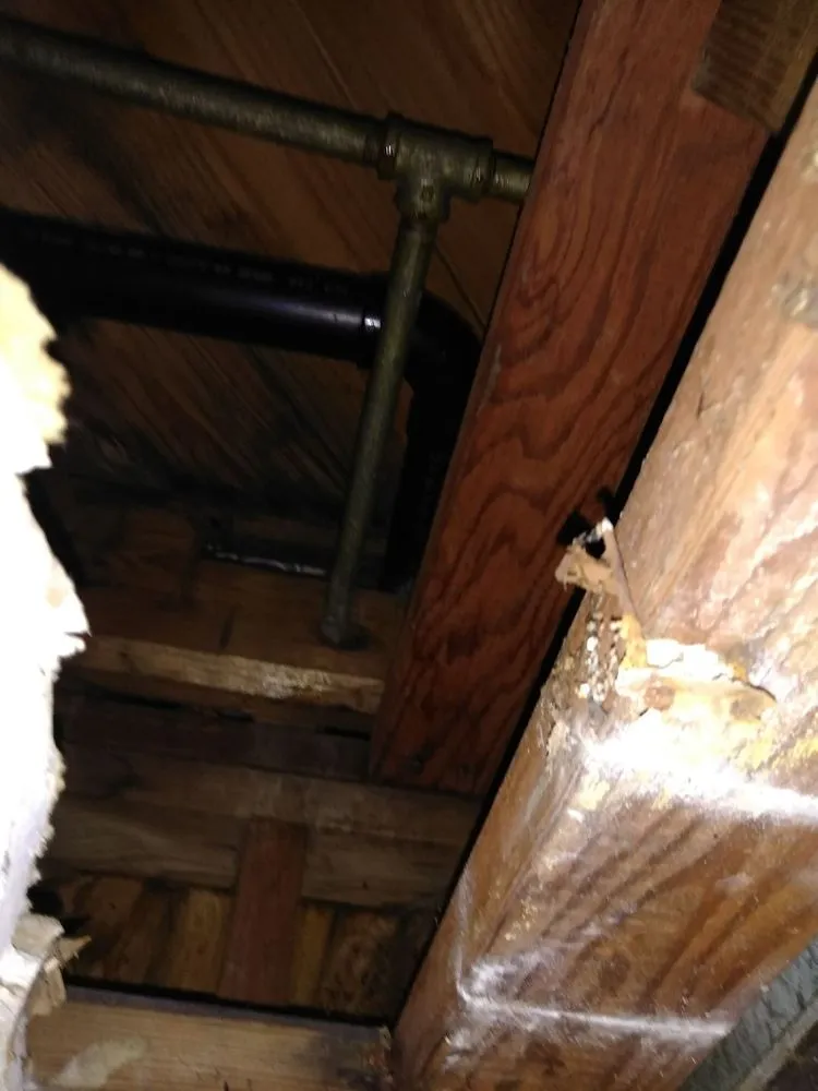 Slide of Kintex Plumbing