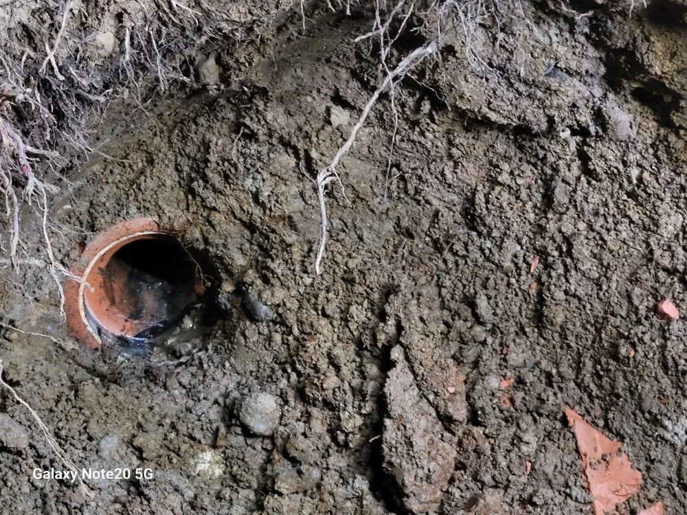 Slide of Kirkland Rooter